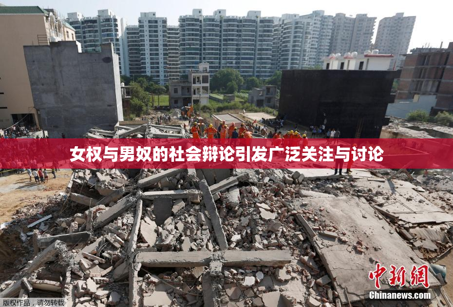 女权与男奴的社会辩论引发广泛关注与讨论