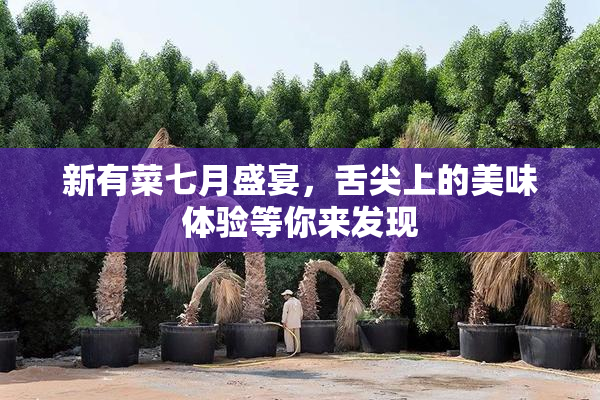 新有菜七月盛宴，舌尖上的美味体验等你来发现
