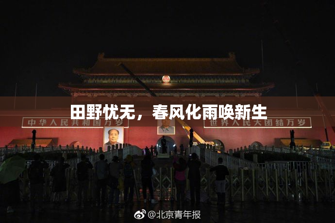 田野忧无，春风化雨唤新生