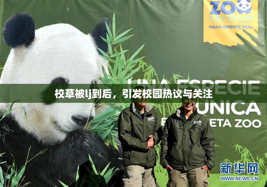 校草被lj到后，引发校园热议与关注