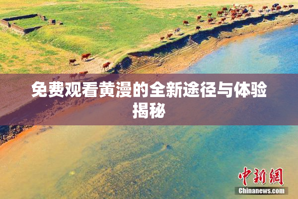 免费观看黄漫的全新途径与体验揭秘