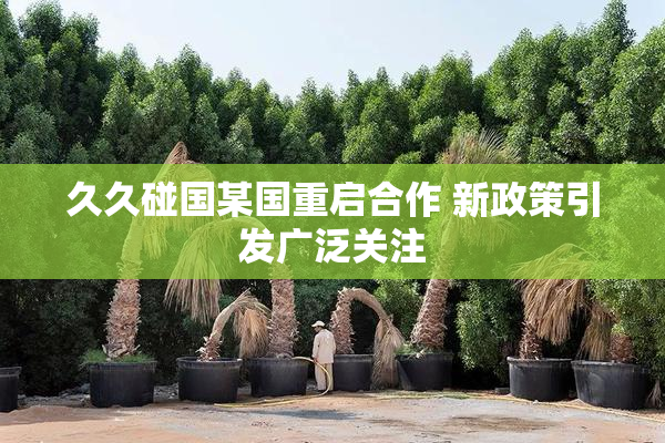 久久碰国某国重启合作 新政策引发广泛关注
