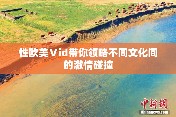 性欧美Ⅴid带你领略不同文化间的激情碰撞
