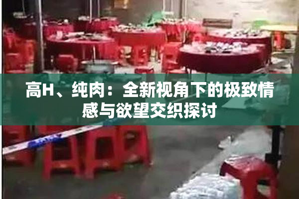 高H、纯肉：全新视角下的极致情感与欲望交织探讨