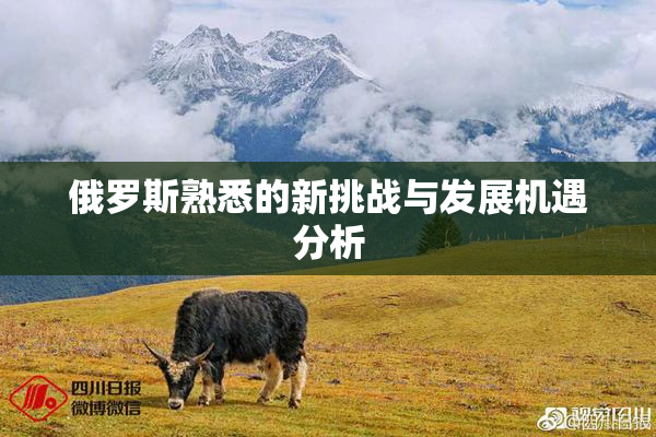俄罗斯熟悉的新挑战与发展机遇分析