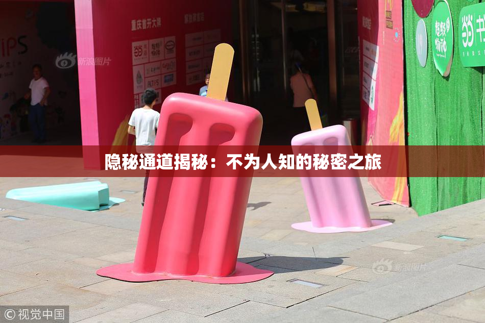 隐秘通道揭秘：不为人知的秘密之旅