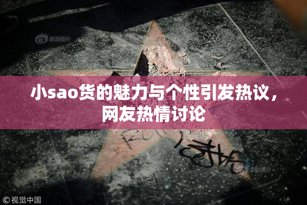 小sao货的魅力与个性引发热议，网友热情讨论