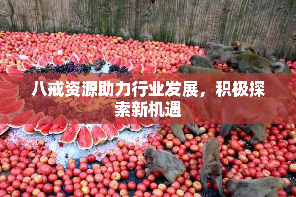 八戒资源助力行业发展，积极探索新机遇