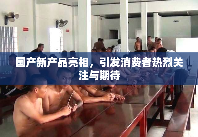 国产新产品亮相，引发消费者热烈关注与期待