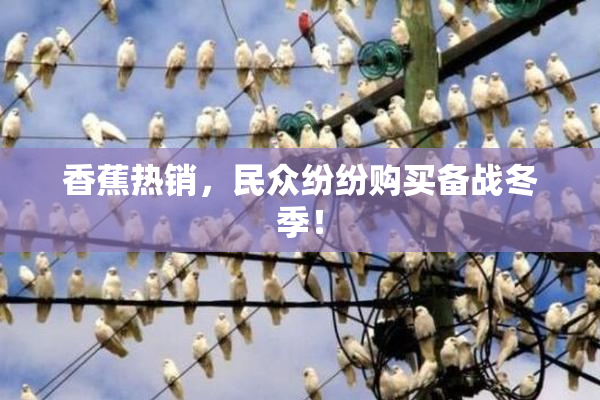 香蕉热销，民众纷纷购买备战冬季！