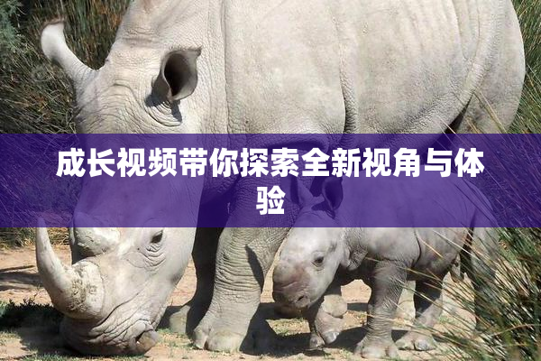 成长视频带你探索全新视角与体验