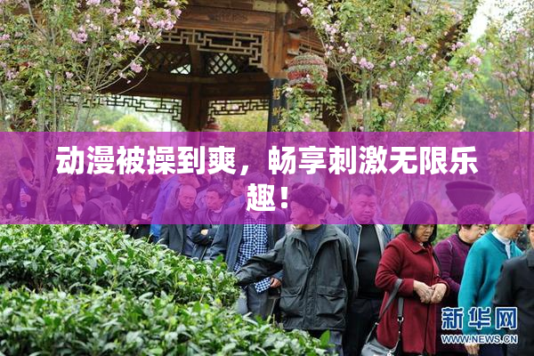 动漫被操到爽，畅享刺激无限乐趣！