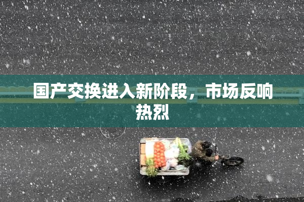 国产交换进入新阶段，市场反响热烈