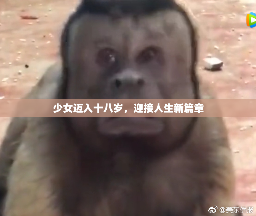 少女迈入十八岁，迎接人生新篇章