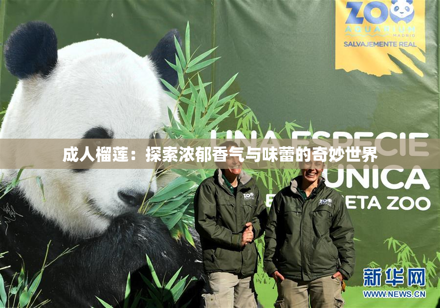 成人榴莲：探索浓郁香气与味蕾的奇妙世界