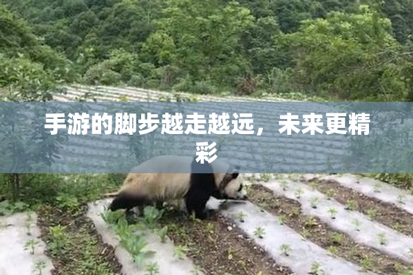 手游的脚步越走越远，未来更精彩