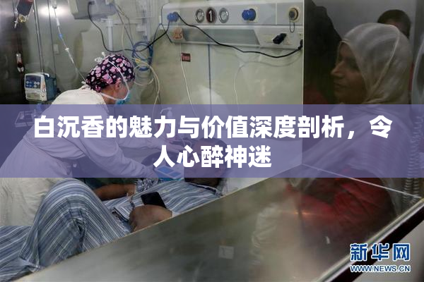 白沉香的魅力与价值深度剖析，令人心醉神迷