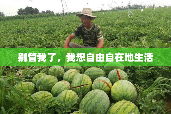 别管我了，我想自由自在地生活