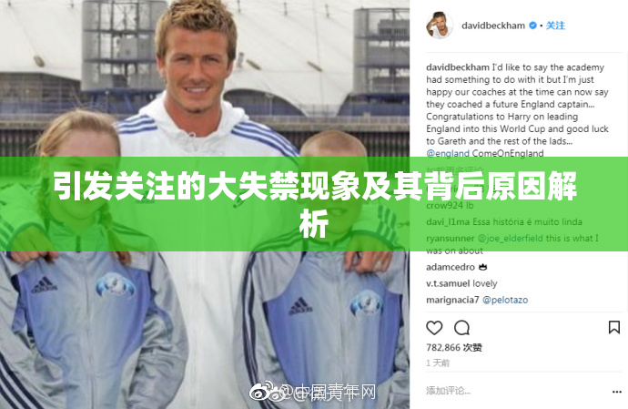 引发关注的大失禁现象及其背后原因解析