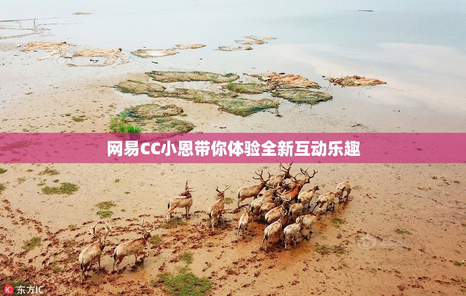 网易CC小恩带你体验全新互动乐趣