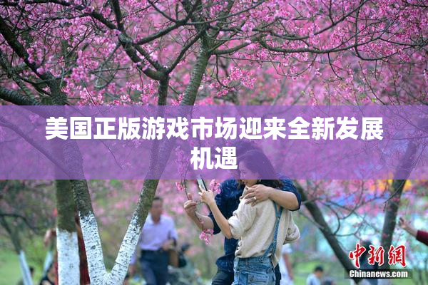 美国正版游戏市场迎来全新发展机遇