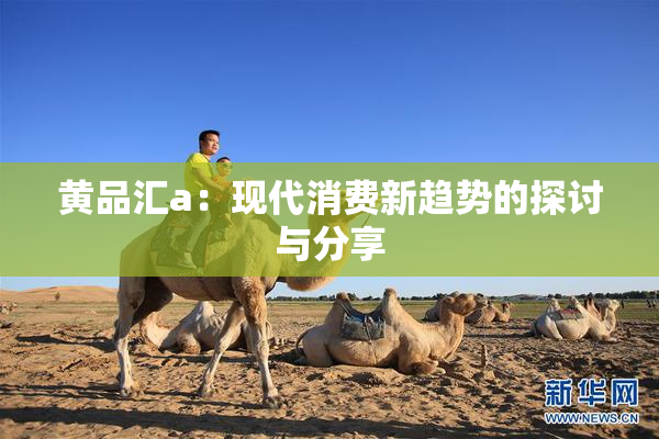黄品汇a：现代消费新趋势的探讨与分享