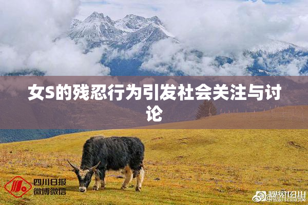 女S的残忍行为引发社会关注与讨论