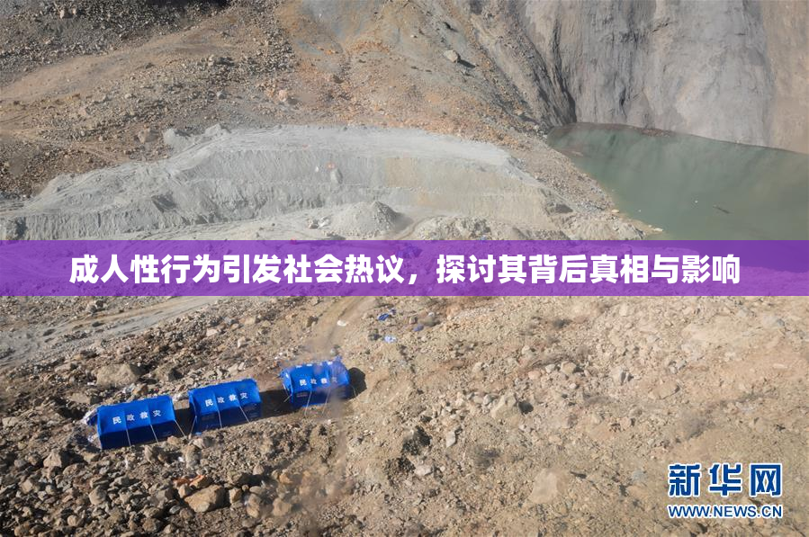 成人性行为引发社会热议，探讨其背后真相与影响