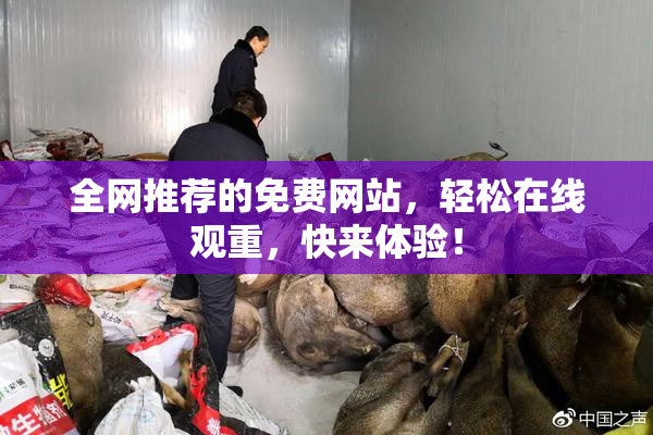 全网推荐的免费网站，轻松在线观重，快来体验！