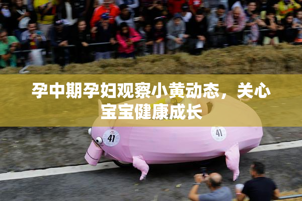 孕中期孕妇观察小黄动态，关心宝宝健康成长