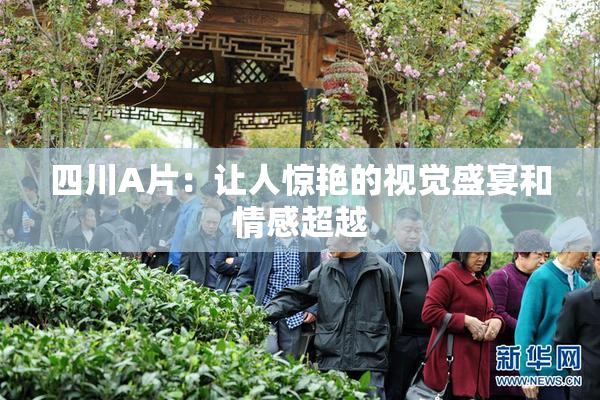 四川A片：让人惊艳的视觉盛宴和情感超越