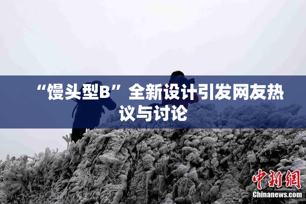 “馒头型B”全新设计引发网友热议与讨论