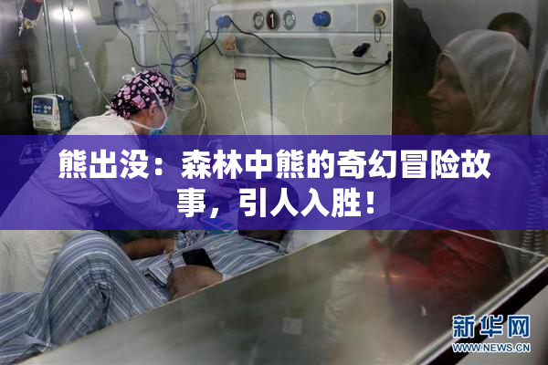 熊出没：森林中熊的奇幻冒险故事，引人入胜！