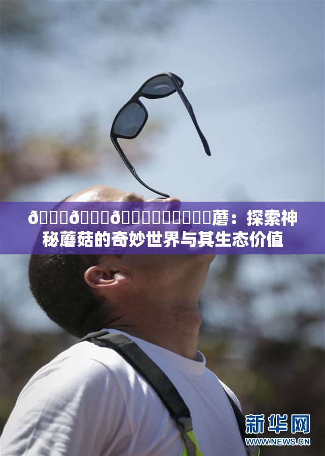 🍆🍑🔞❌‌❌‌❌‌蘑：探索神秘蘑菇的奇妙世界与其生态价值