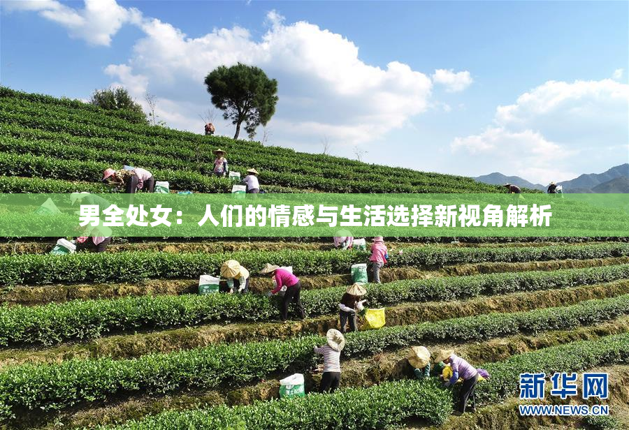 男全处女：人们的情感与生活选择新视角解析