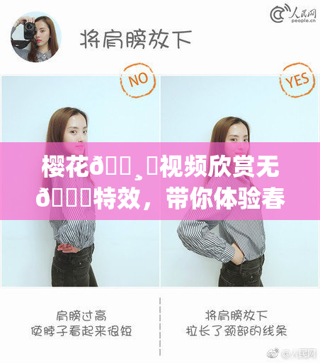 樱花🌸‌视频欣赏无🈚特效，带你体验春日美景