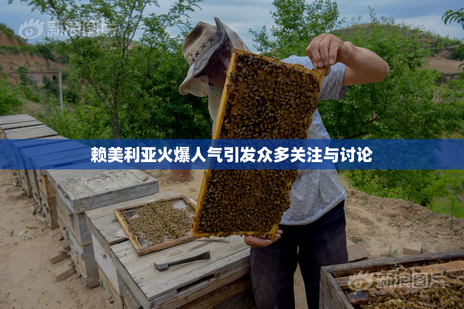 赖美利亚火爆人气引发众多关注与讨论