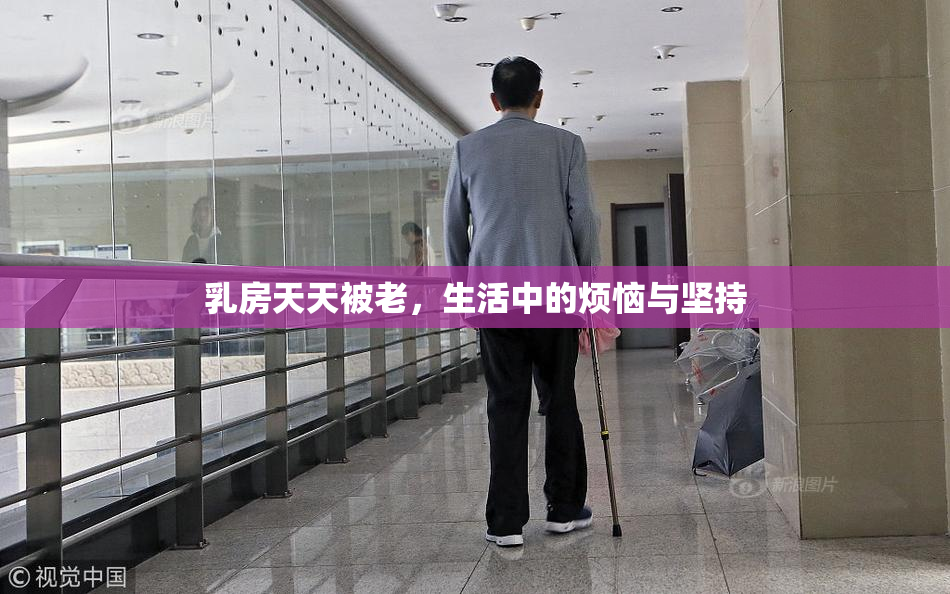 乳房天天被老，生活中的烦恼与坚持