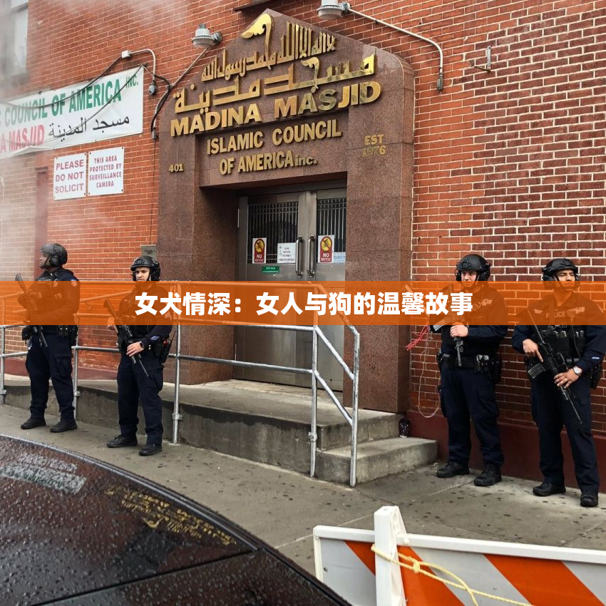 女犬情深：女人与狗的温馨故事