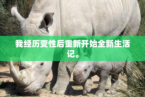 我经历变性后重新开始全新生活记。