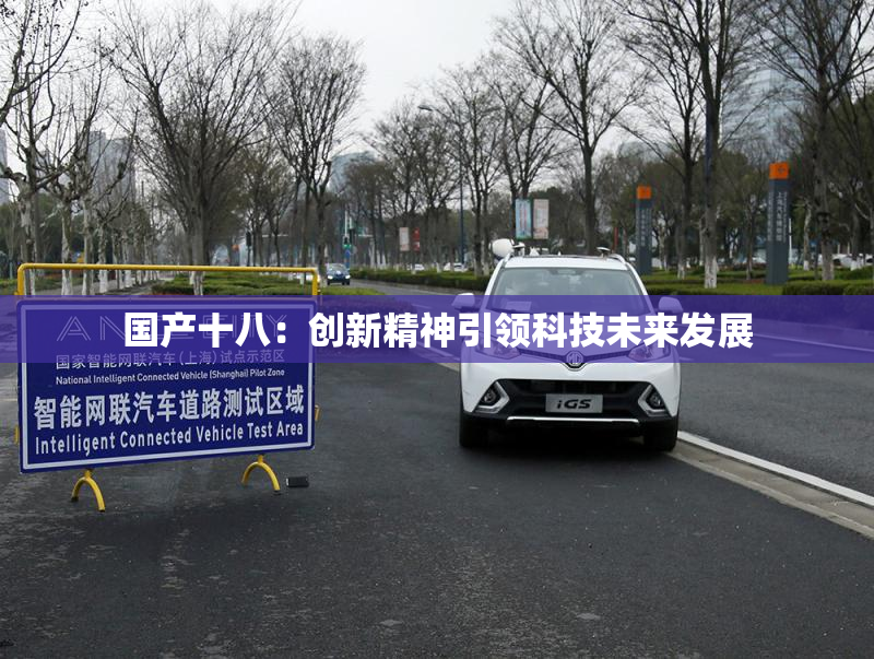 国产十八：创新精神引领科技未来发展