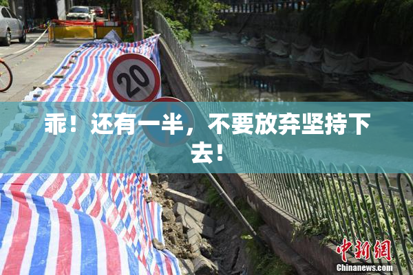 乖！还有一半，不要放弃坚持下去！
