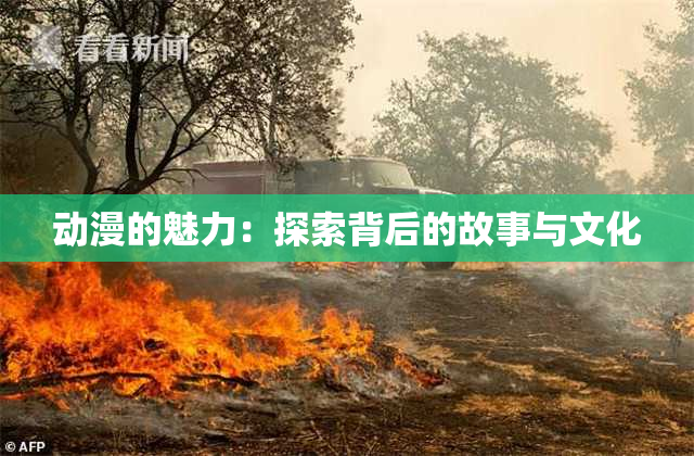 动漫的魅力：探索背后的故事与文化