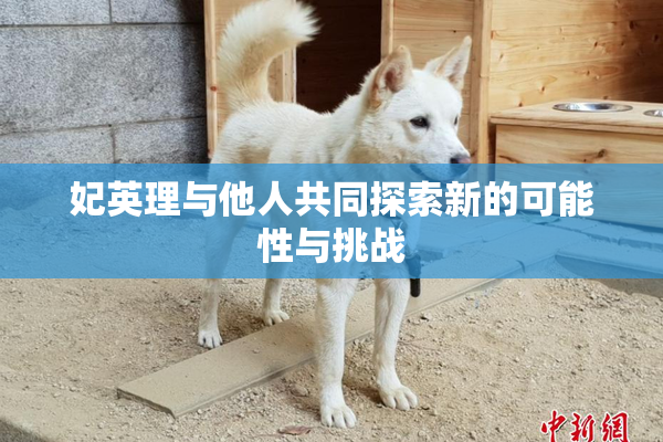 妃英理与他人共同探索新的可能性与挑战