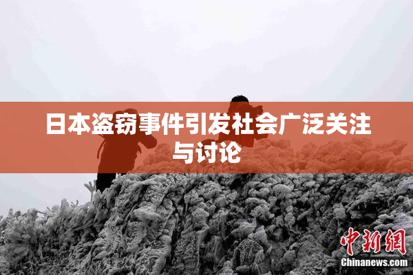 日本盗窃事件引发社会广泛关注与讨论