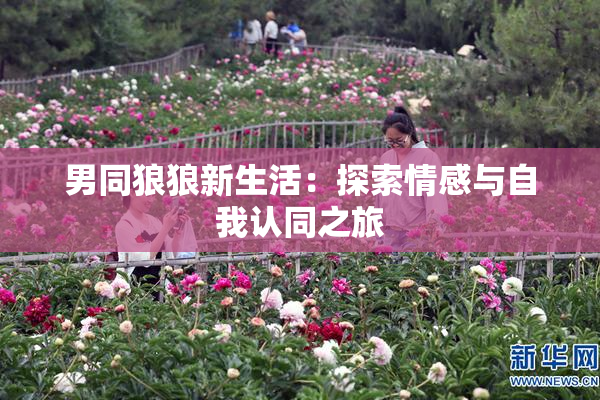 男同狼狼新生活：探索情感与自我认同之旅