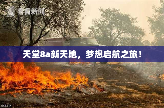 天堂8a新天地，梦想启航之旅！