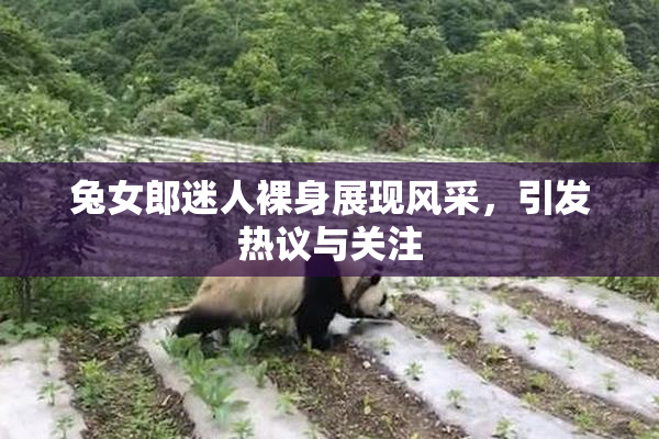 兔女郎迷人裸身展现风采，引发热议与关注