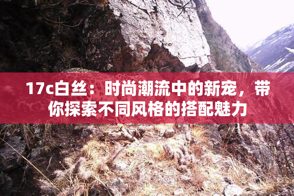 17c白丝：时尚潮流中的新宠，带你探索不同风格的搭配魅力