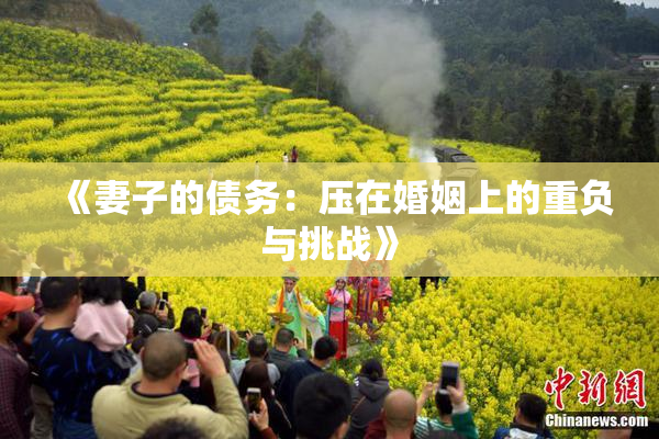《妻子的债务：压在婚姻上的重负与挑战》